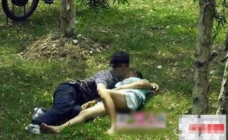 日韩男女野战视频图集,野战视频图集背后的社会现象解析