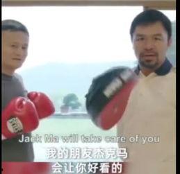 日韩拳王打拳视频