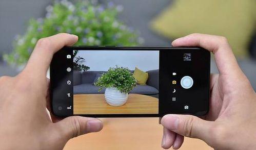 日韩视频10024手机,探索潮流娱乐新天地